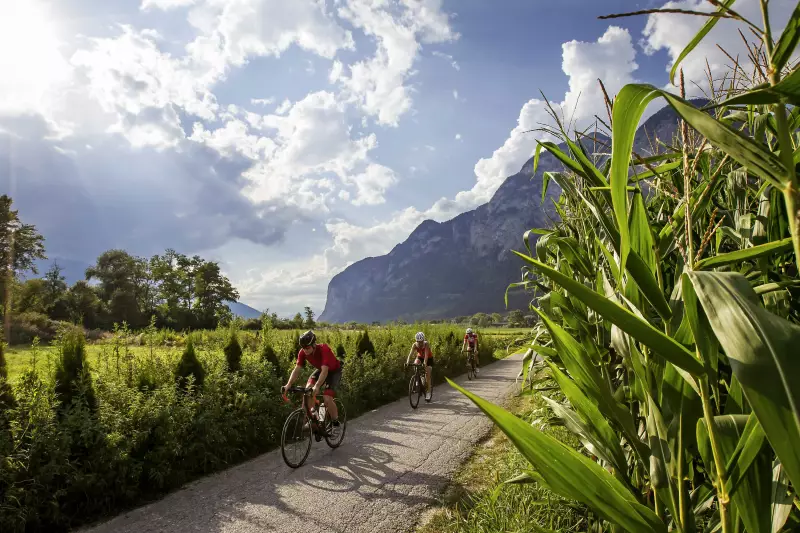 Mountainbiken Radfahren Sweet Cherry Boutique & Guesthouse Tirol